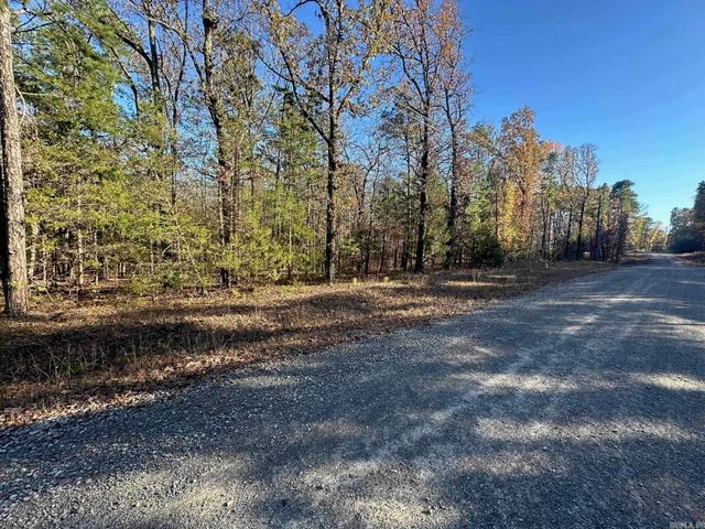 65 Jimmerson Road, Higden, AR 72067