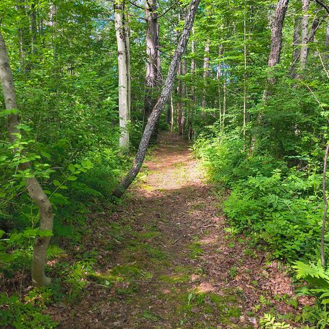 638 John Stark Highway, Newport, NH 03773