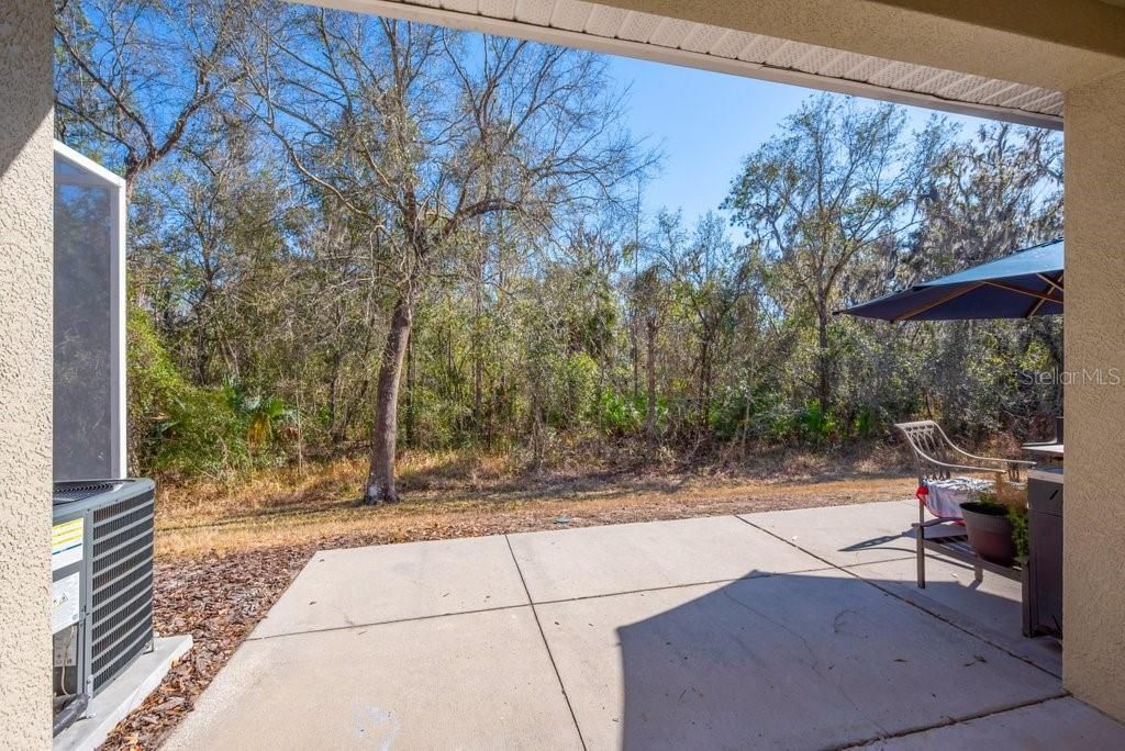 Image 21 of property listing at 15855 FISHHAWK VIEW DRIVE, Lithia, FL 33547