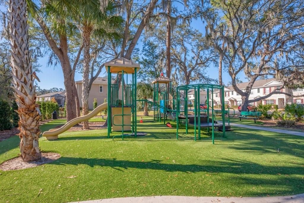 Image 25 of property listing at 15855 FISHHAWK VIEW DRIVE, Lithia, FL 33547