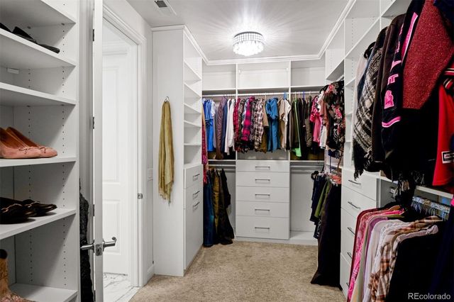 6881 Northstar Court, Castle Rock, CO 80108