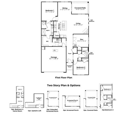 293 Red Buckeye Dr., Conway, SC 29527