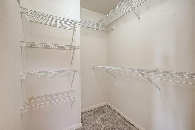 5646 Tiger Lilly Way, Houston, TX 77085