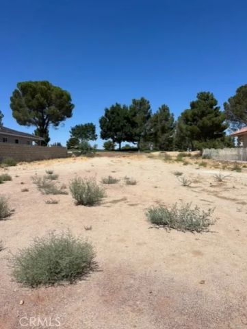 14910 Fireside, Helendale, CA 92342