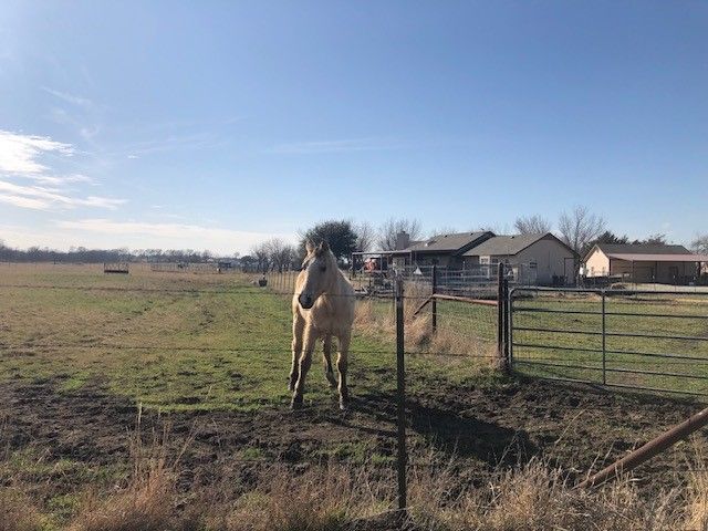 9061 Crow Wright Road, Sanger, TX 76266