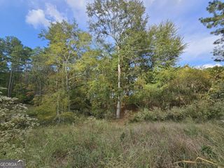 1272 N Edgewater Trail, Toccoa, GA 30577