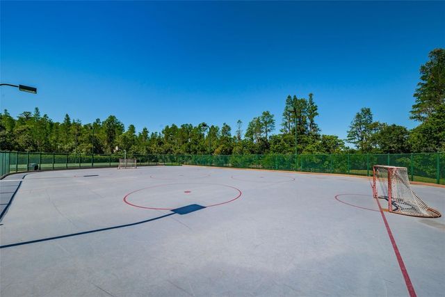 19313 AQUA SPRINGS DRIVE, Lutz, FL 33558