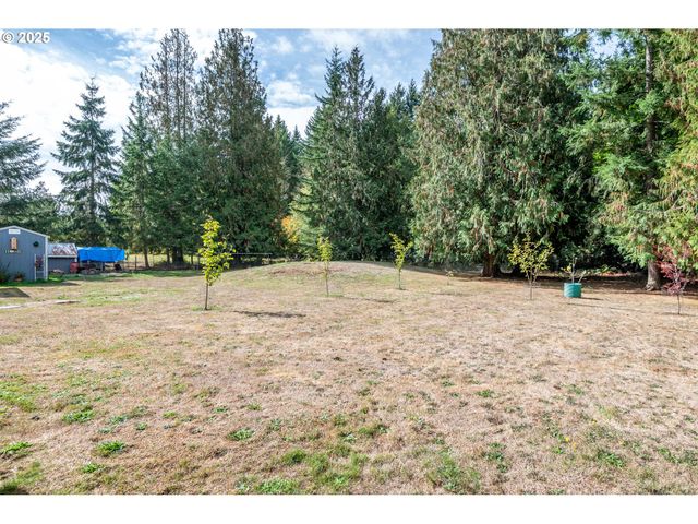 124 VINEYARD Ln, Winlock, WA 98596