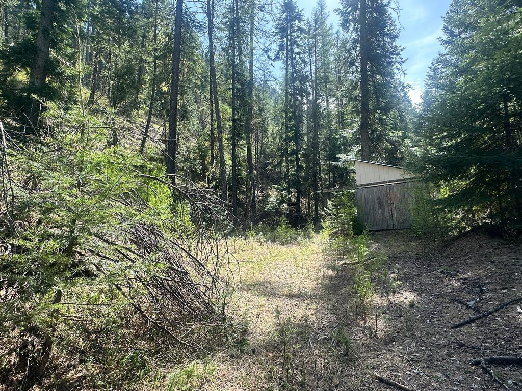 Nhn Hope Valley Road, Trout Creek, MT 59874 photo 2