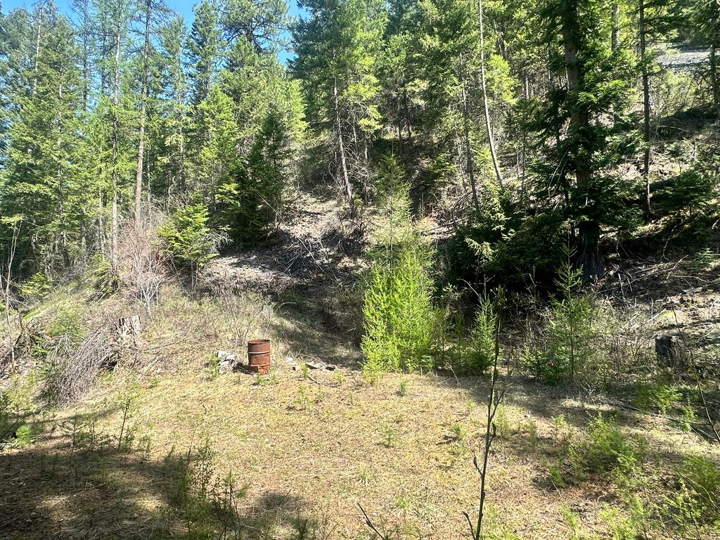 Nhn Hope Valley Road, Trout Creek, MT 59874 photo 3