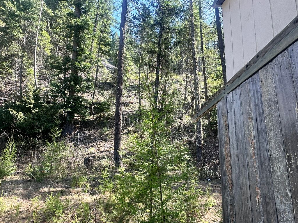 Nhn Hope Valley Road, Trout Creek, MT 59874 photo 4