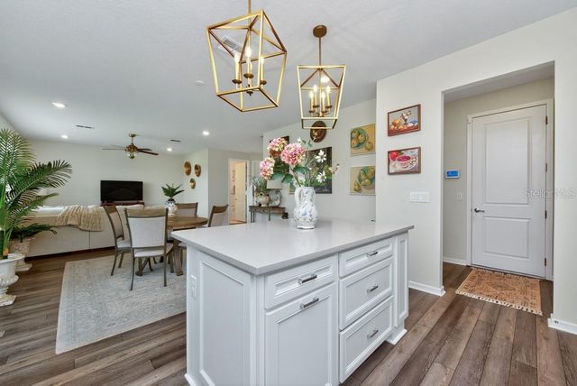 12908 BROOKSIDE MOSS DRIVE, Riverview, FL 33579