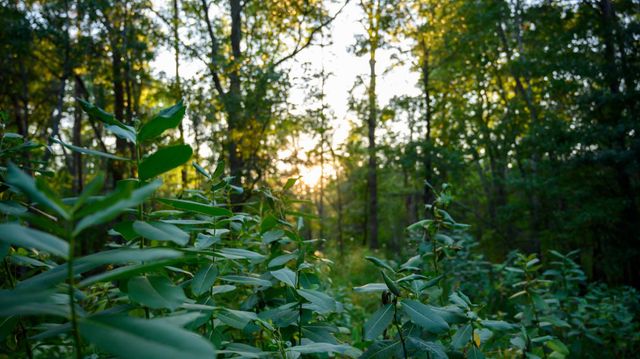 14936 Welton Road, Baxter, MN 56425