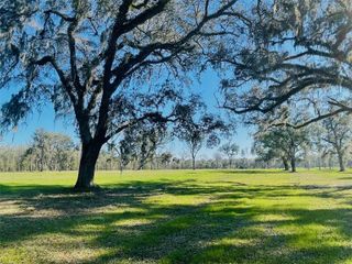 TBD NW 160TH STREET, Reddick, FL 32686