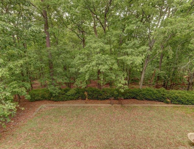 54 Tomino Way, Hot Springs Village, AR 71909