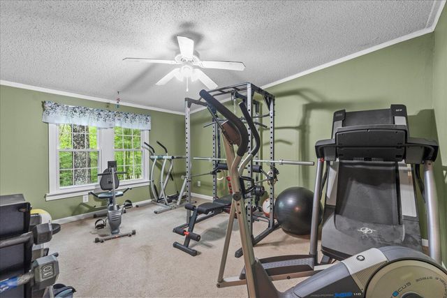 4222 Mcdonald Road, Apison, TN 37302