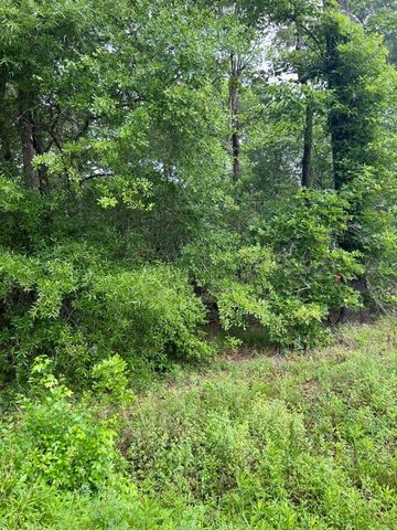 0 Stag Lane, Shepherd, TX 77371