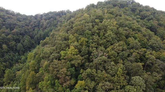 268 Blecher Lane, Kyles Ford, TN 37765