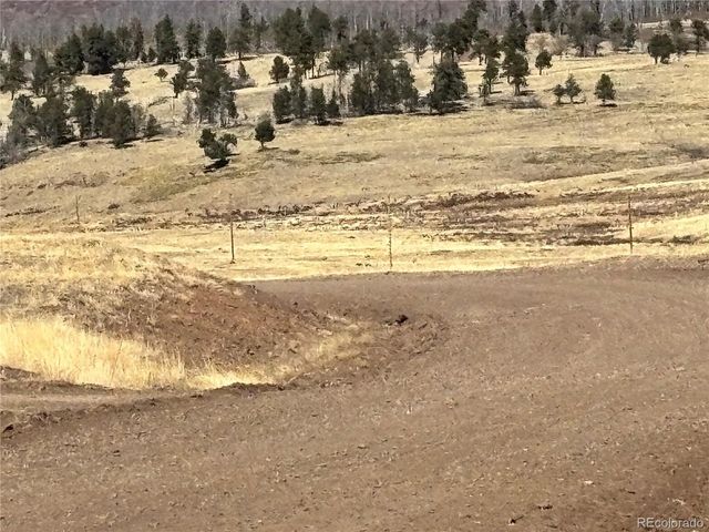 0 Forbes Park Rd., Fort Garland, CO 81133