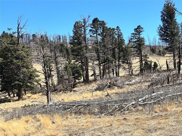 0 Forbes Park Rd., Fort Garland, CO 81133