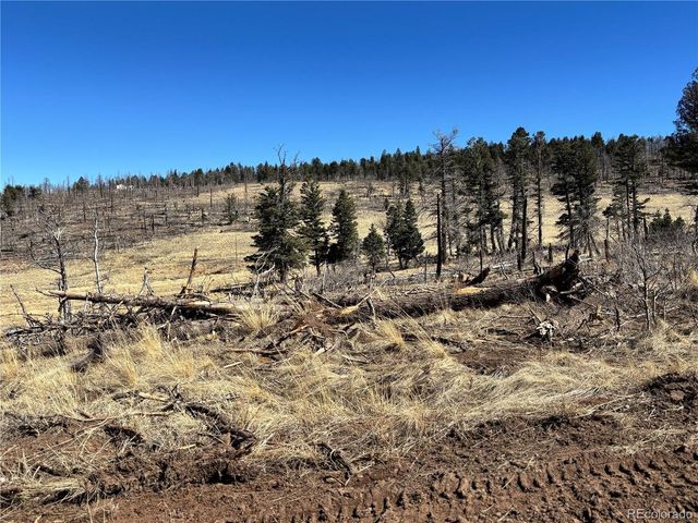 0 Forbes Park Rd., Fort Garland, CO 81133