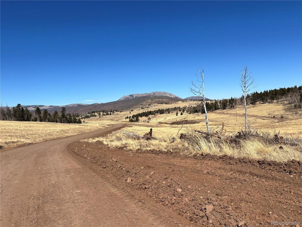 0 Forbes Park Rd., Fort Garland, CO 81133