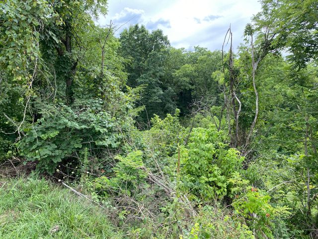 505 Spider Road, Berry, KY 41003