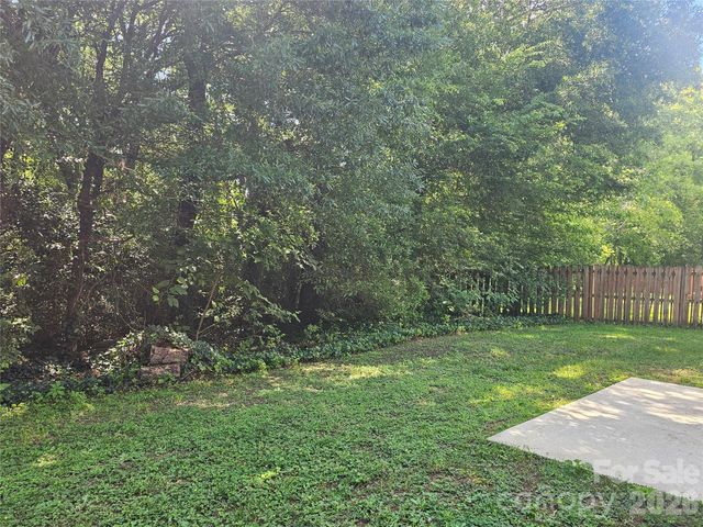 12519 Wandering Brook Drive, Charlotte, NC 28273