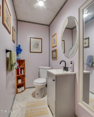 111 Clinch Valley Road, Eidson, TN 37731
