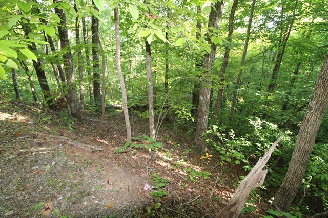 Lot 20 U Been Around The Circle, Hayesville, NC 28904
