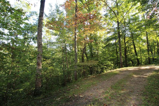 Lot 20 U Been Around The Circle, Hayesville, NC 28904