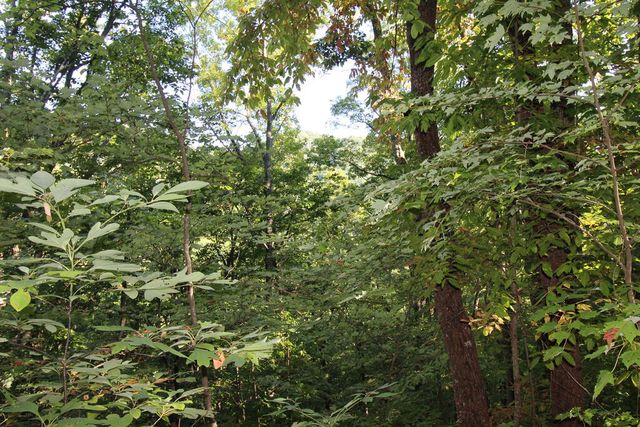 Lot 20 U Been Around The Circle, Hayesville, NC 28904