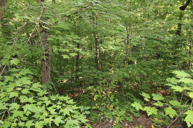 Lot 20 U Been Around The Circle, Hayesville, NC 28904