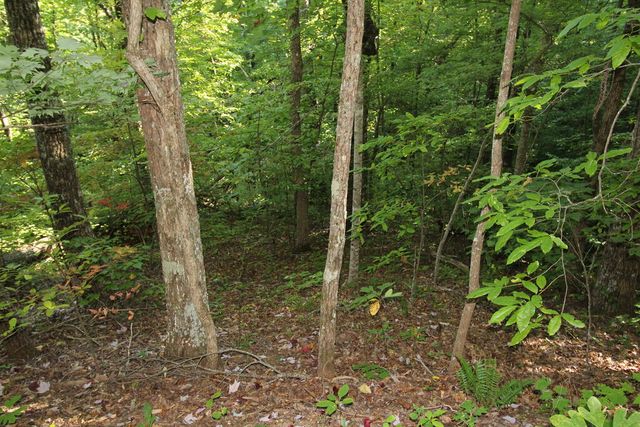 Lot 20 U Been Around The Circle, Hayesville, NC 28904