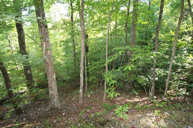 Lot 20 U Been Around The Circle, Hayesville, NC 28904