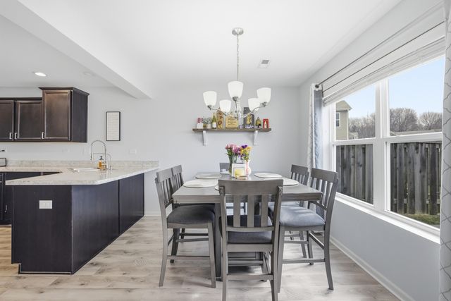 171 Maryland Lane, Pingree Grove, IL 60140