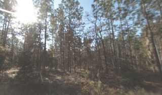 SW 159TH TERRACE, Ocala, FL 34481