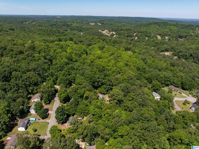 5162 WILLOW RIDGE LANE, Pinson, AL 35126