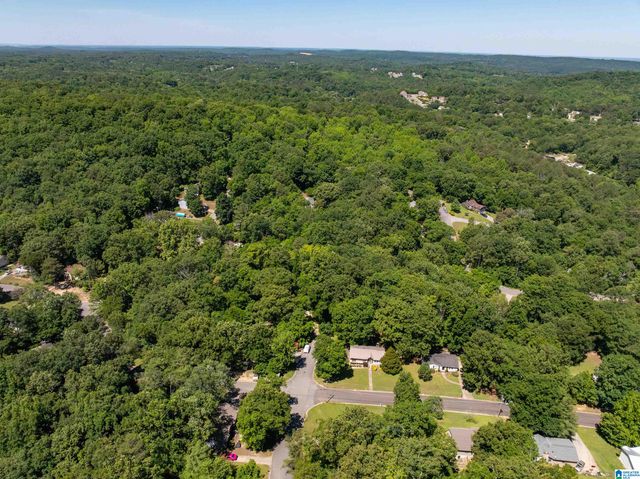 5162 WILLOW RIDGE LANE, Pinson, AL 35126