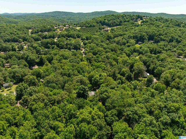 5162 WILLOW RIDGE LANE, Pinson, AL 35126