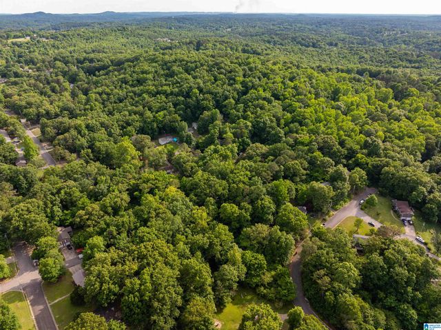 5162 WILLOW RIDGE LANE, Pinson, AL 35126