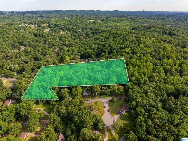 5162 WILLOW RIDGE LANE, Pinson, AL 35126