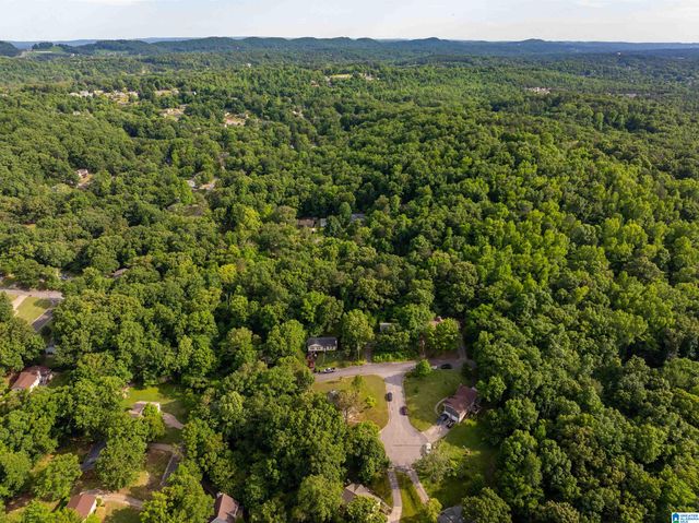 5162 WILLOW RIDGE LANE, Pinson, AL 35126