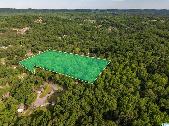 5162 WILLOW RIDGE LANE, Pinson, AL 35126