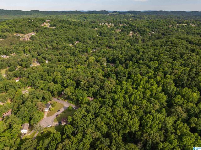 5162 WILLOW RIDGE LANE, Pinson, AL 35126