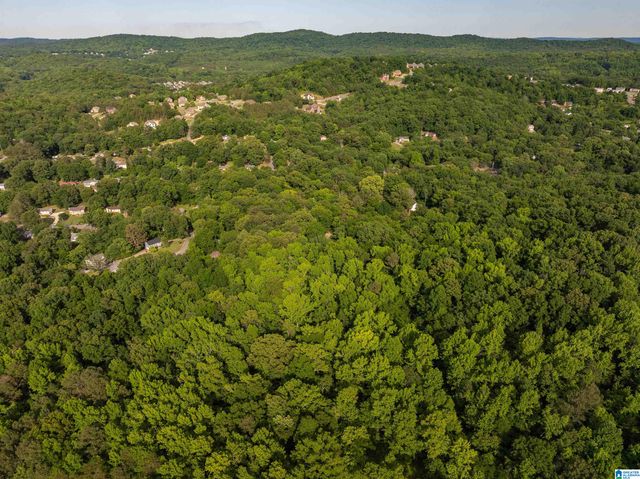 5162 WILLOW RIDGE LANE, Pinson, AL 35126