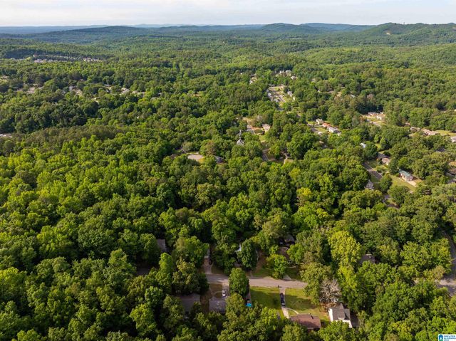 5162 WILLOW RIDGE LANE, Pinson, AL 35126