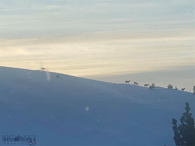 86 Pony Lane, Livingston, MT 59047