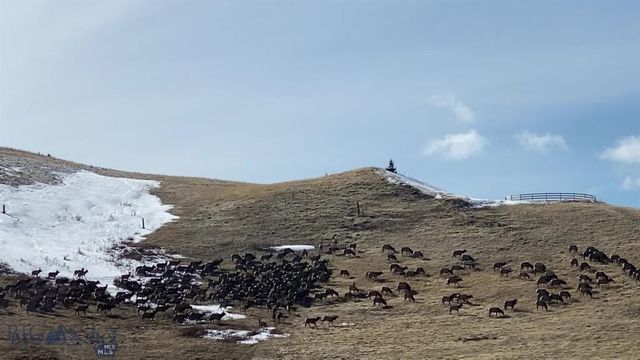 86 Pony Lane, Livingston, MT 59047