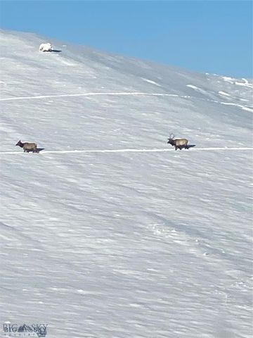 86 Pony Lane, Livingston, MT 59047